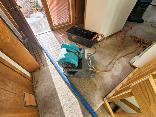 Best Fire Damage Restoration  in Friend, NE