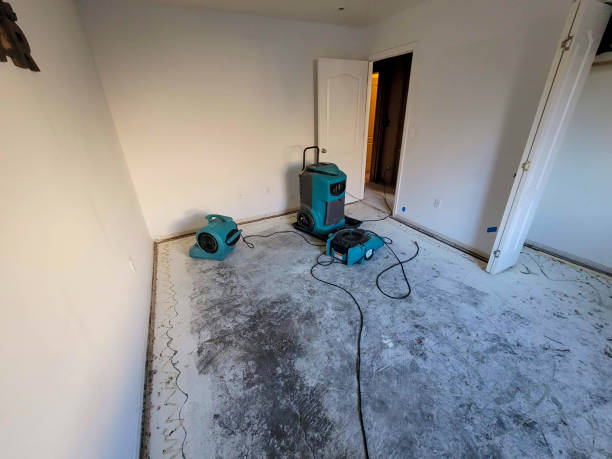 Reliable Friend, NE Water damage restoration Solutions