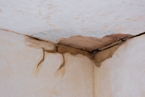 Best Water damage contractors near me  in Friend, NE