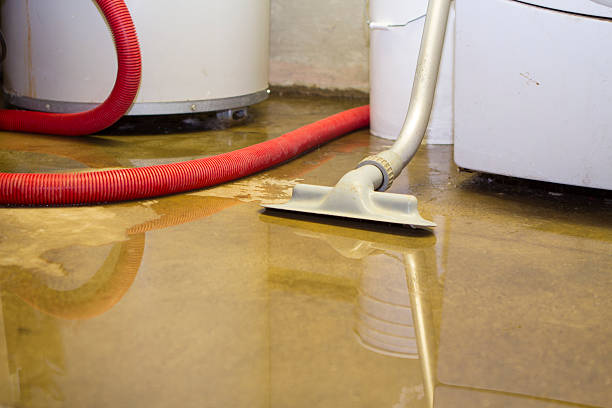 Best Commercial water damage restoration  in Friend, NE