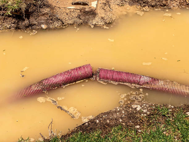 Best Carpet water damage restoration  in Friend, NE