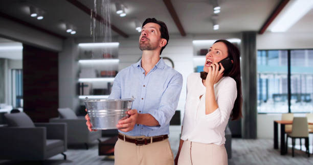 Best Water damage cleanup near me  in Friend, NE