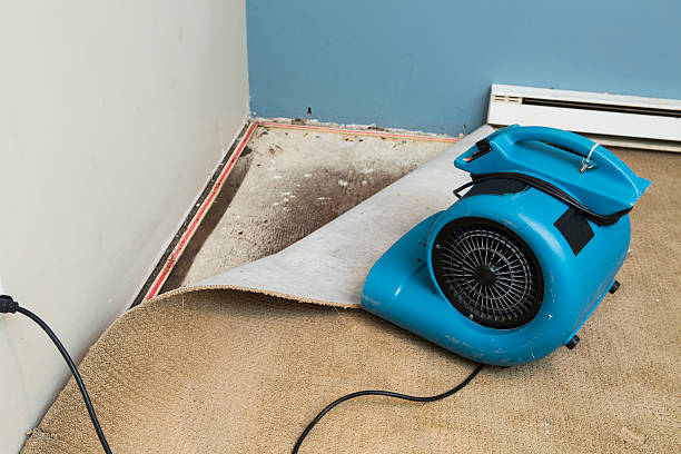 Best Water damage restoration insurance claims  in Friend, NE